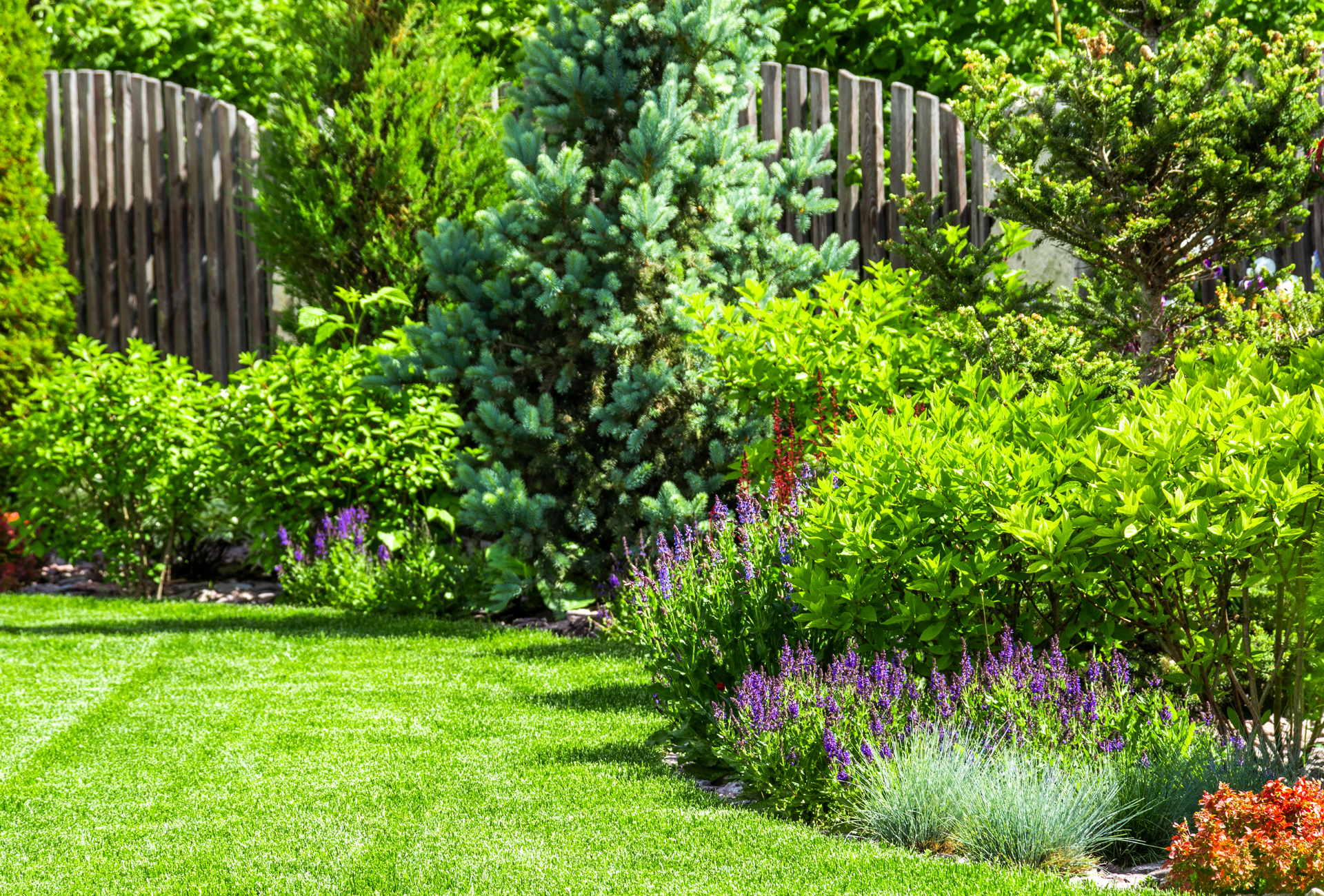 Jardines compartidos en Vallecas: prevención de plagas tras las lluvias